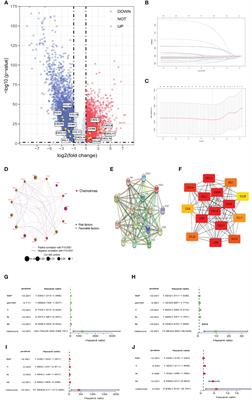 Establishment of a chemokine-based prognostic model and identification of CXCL10+ M1 macrophages as predictors of neoadjuvant therapy efficacy in colorectal cancer